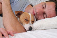 Un homme dormant dans un lit avec son chien dans les bras