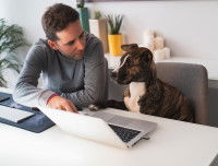 Les inconvénients et les risques pour le propriétaire du chien