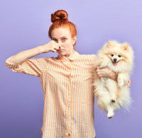 Le dérangement causé par le chien