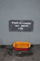 Préparer le lieu de travail avant l’arrivée du chien