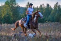 Une cavalière faisant une randonnée équestre avec ses chiens