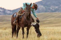 Un cowboy à cheval qui caresse son chien