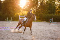 Une cavalière entraînant son cheval au saut de haie en extérieur