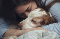 L’euthanasie d’un chien à domicile