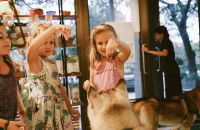 Quelles sont les causes des morsures de chien sur les enfants ?