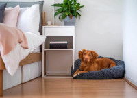 Un chien allongé dans son panier à côté d'un lit