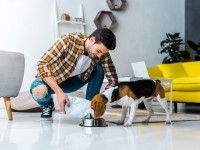 Un dog-sitter donne à manger au chien qu'il garde