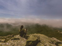 Les formalités pour emmener son chien au Royaume-Uni