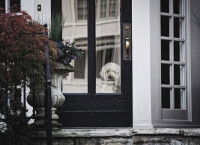 Un chien regardant par la porte-fenêtre