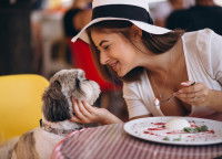 Une cliente au restaurant jouant avec son chien