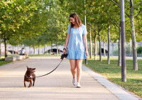 Une femme promenant son chien dans un parc