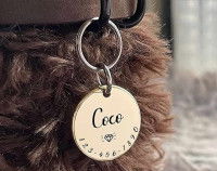 Gros plan sur le cou d'un chien portant un médaillon gravé à son nom