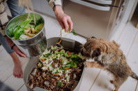 Un homme fait du compost avec des épluchures de légumes avec son chien