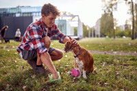 Un homme ramasse les crottes de son chien dans le parc