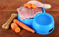 De la viande de poulet et des carottes dans une gamelle pour chien