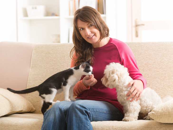 La Premiere Rencontre Entre Un Chien Et Un Chat