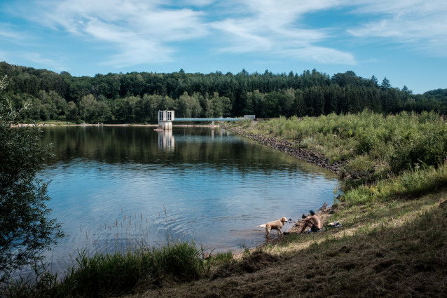 Une famille et son chien se baignent dans le lac des Settons