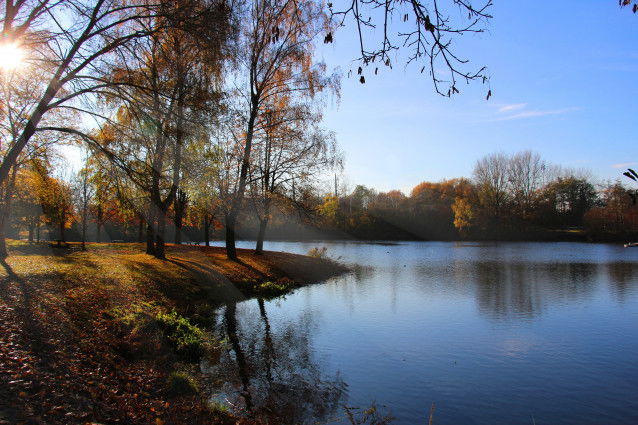Le lac du Héron, à Villeneuve-d'Ascq
