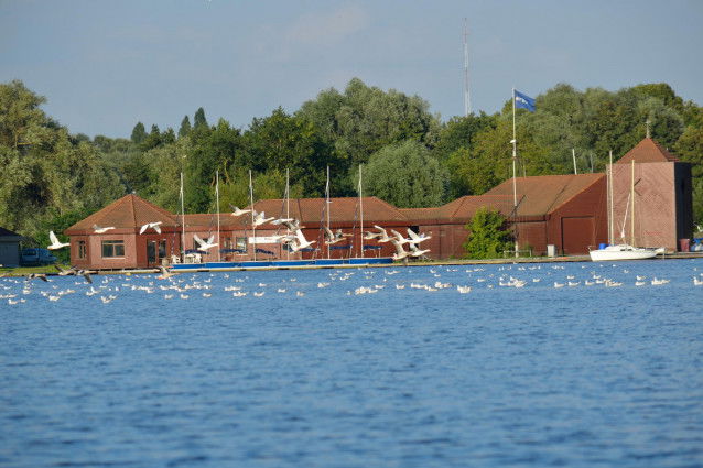 L'étang du Vignoble, à Valenciennes
