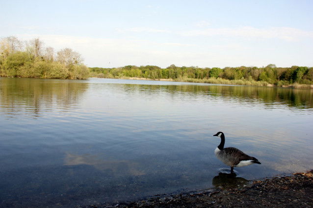 Le lac de Corra à Saint-Germain-en-Laye