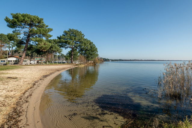 Le lac de Cazaux, en Gironde