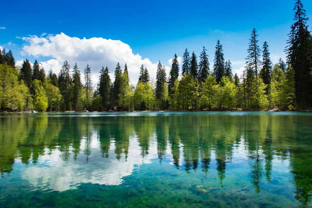 Le lac Vert en Haute-Savoie