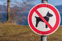 Panneau "interdit aux chiens" devant un lac