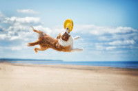 Un chien sur la plage en train de sauter pour attraper un frisbee.