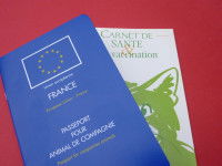 Le passeport et le carnet de vaccination d'un chien.