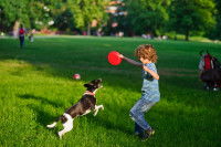 Un enfant jouant au frisbee avec un chien dans un parc.