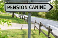 Panneau de signalisation blanc et noir indiquant la direction d'une pension canine.