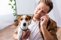 Une personne au téléphone tenant son chien dans ses bras.