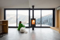 Une femme et un grand chien assis au sol dans un salon spacieux et en train de regarder le paysage.