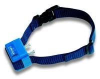 Collier anti-aboiement 