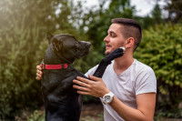 Une personne et un chien Pitbull face à face se regardant et se tenant dans les bras