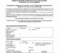 Le formulaire de demande d'un permis provisoire de détention d'un chien catégorisé