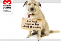Affiche avec un chien portant une pancarte indiquant « Moi aussi je suis un être vivant et sensible »