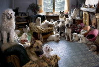 Un salon rempli de chiens