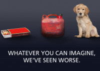 Affiche d'une campagne de la RSPCA (Royal Society for the Prevention of Cruelty to Animals) Australia contre le sadisme envers les animaux avec un chien, un bidon d'essence et un paquet d'allumettes.