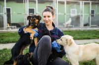 Gérante d'une pension avec deux chiens dans ses bras