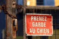 Qui est responsable en cas de morsure de chien ?