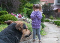 Une petite fille a peur d'un chien dans un jardin