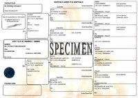Le pedigree du chien