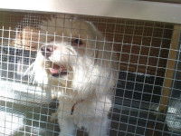 En cas de problème avec le document