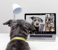 La thérapie d’exposition