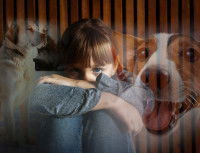 Qu'est-ce que la cynophobie ?