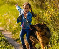 Une petite fille est terrorisée devant un gros chien