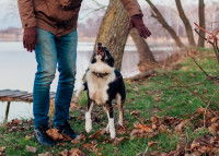 Un chien aboie sur un humain dans un parc