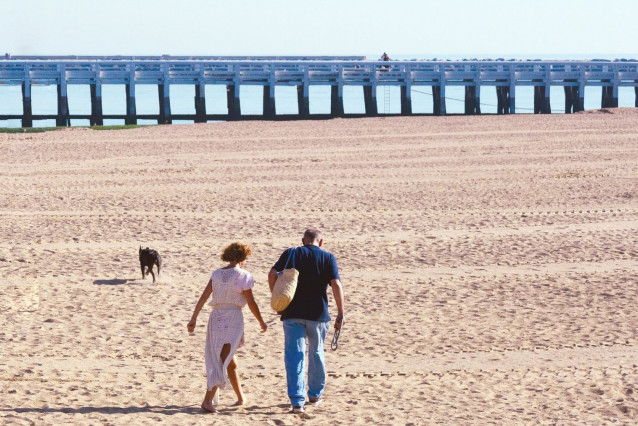 Un couple et son chien sur une plage
