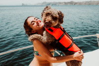 Le gilet de sauvetage du chien